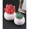 Large Round Bowl Succulent Planter