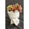 Day Dreaming Girl Succulent Planter