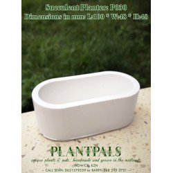 Small Rounded Rectangle Succulent Planter