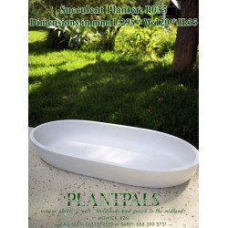 Large Oval Bowl Succulent Planter