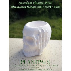 Hear No Evil Skull Succulent Planter