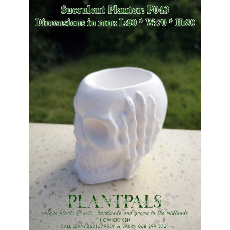 Hear No Evil Skull Succulent Planter