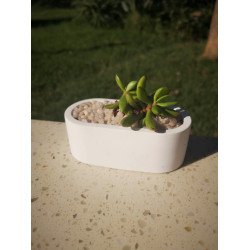 Small Rounded Rectangle Succulent Planter