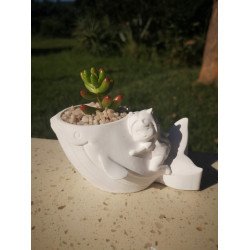 Whale Rider Succulent Planter