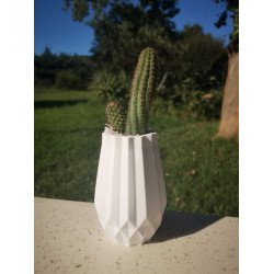 Geometric Succulent Planter - Tall Vase Design