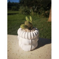 Crochet Succulent Planter