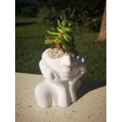 Thinking Succulent Planter