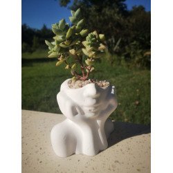 Thinking Succulent Planter