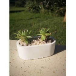 Small Rounded Rectangle Succulent Planter