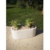 Small Rounded Rectangle Succulent Planter