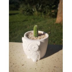 Owl Succulent Planter