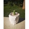 Owl Succulent Planter