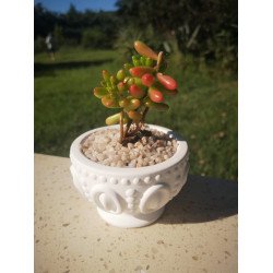 Roman Goblet Succulent Planter