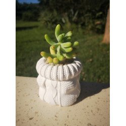 Crochet Succulent Planter