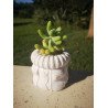 Crochet Succulent Planter