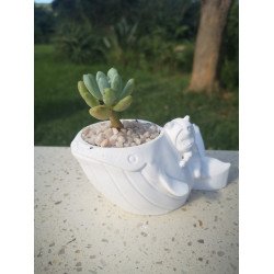 Whale Rider Succulent Planter