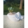 Whale Rider Succulent Planter