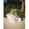 Whale Rider Succulent Planter