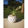 Geometric Succulent Planter - Circle Dimple Design