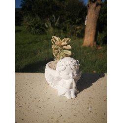 Angel and Woven Basket Succulent Planter