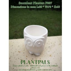 Owl Succulent Planter