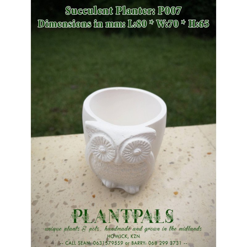 Owl Succulent Planter