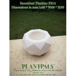 Geometric Succulent Planter - Diamond Facet Design