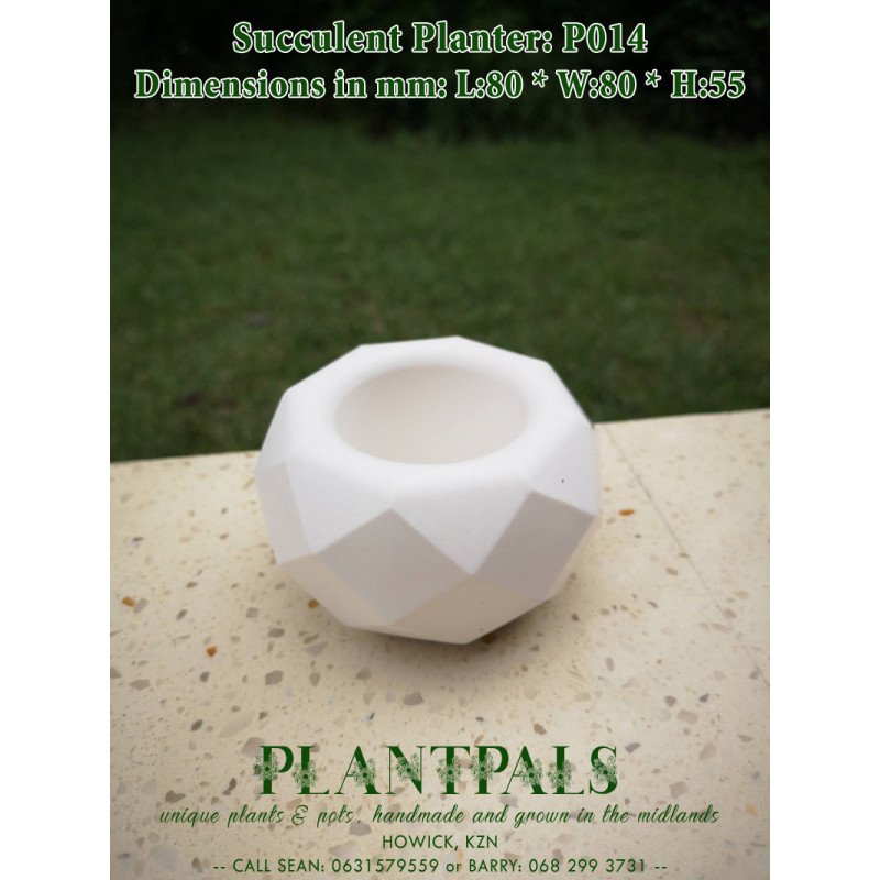 Geometric Succulent Planter - Diamond Facet Design