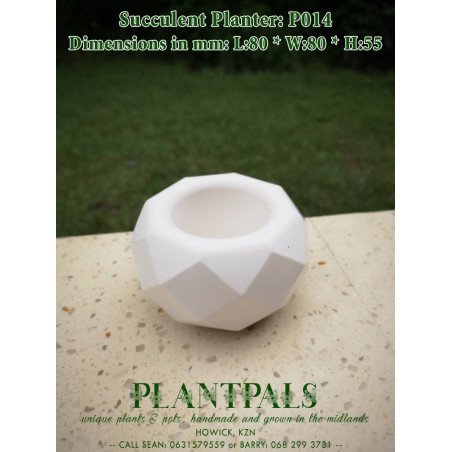 Geometric Succulent Planter - Diamond Facet Design