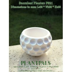 Geometric Succulent Planter - Circle Dimple Design