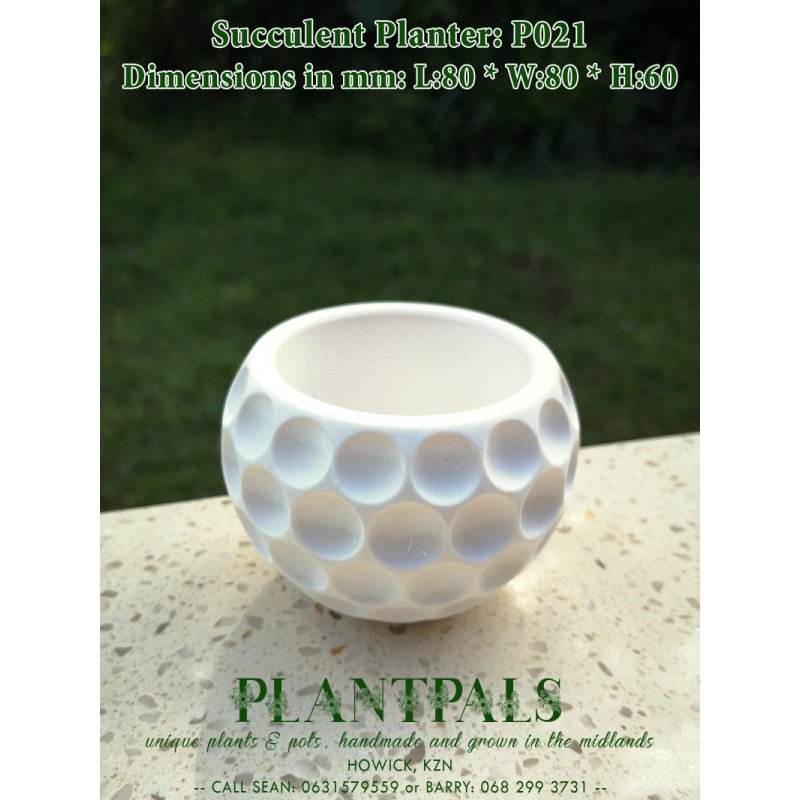 Geometric Succulent Planter - Circle Dimple Design