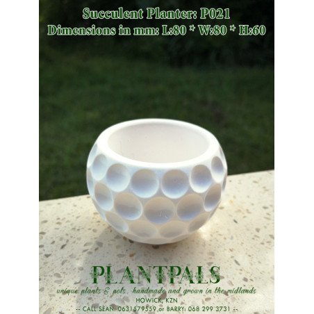 Geometric Succulent Planter - Circle Dimple Design