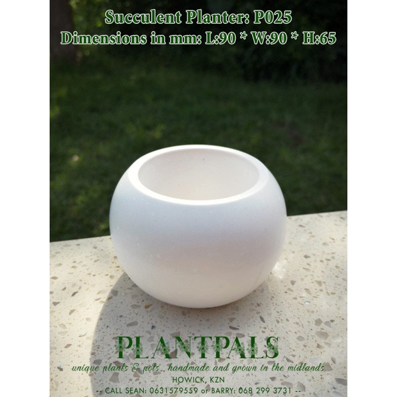 Large Round Bowl Succulent Planter