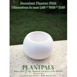 Small Round Bowl Succulent Planter