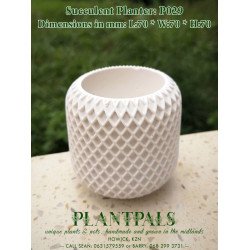 Geometric Succulent Planter - Pineapple Pattern Design