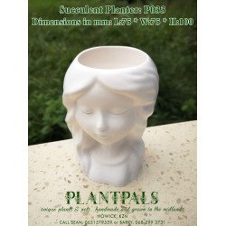 Venus Succulent Planter